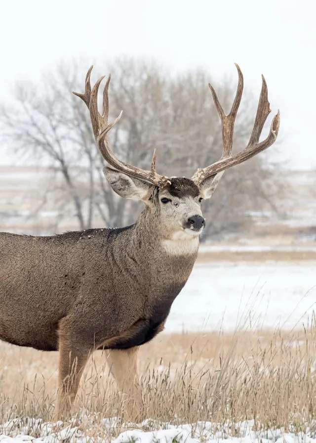 Photo of Legend Outfitting in Peace Country, AB