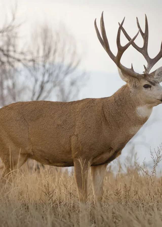 Photo de Mackin Outfitting Ltd. dans la Région de Calgary, Ab