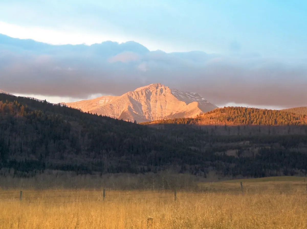 Photo of Nelson Blue Ridge Outfitters in Foothills, AB