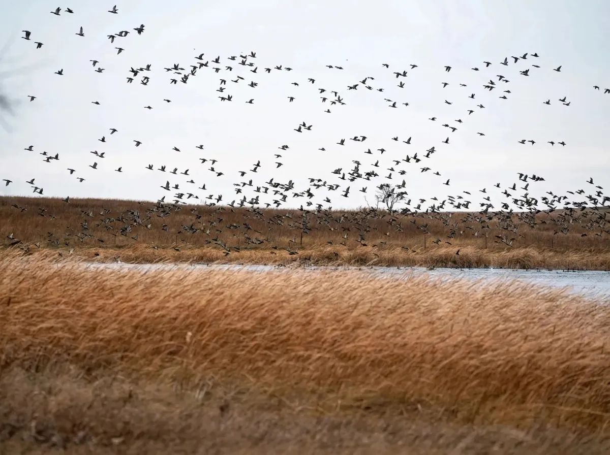 Photo of Redleg Outfitters Canada LLC in Alberta