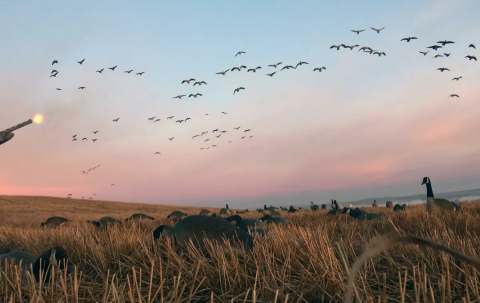 Photo of Sask Alta Waterfowl Outfitters Ltd. in Lakeland, AB
