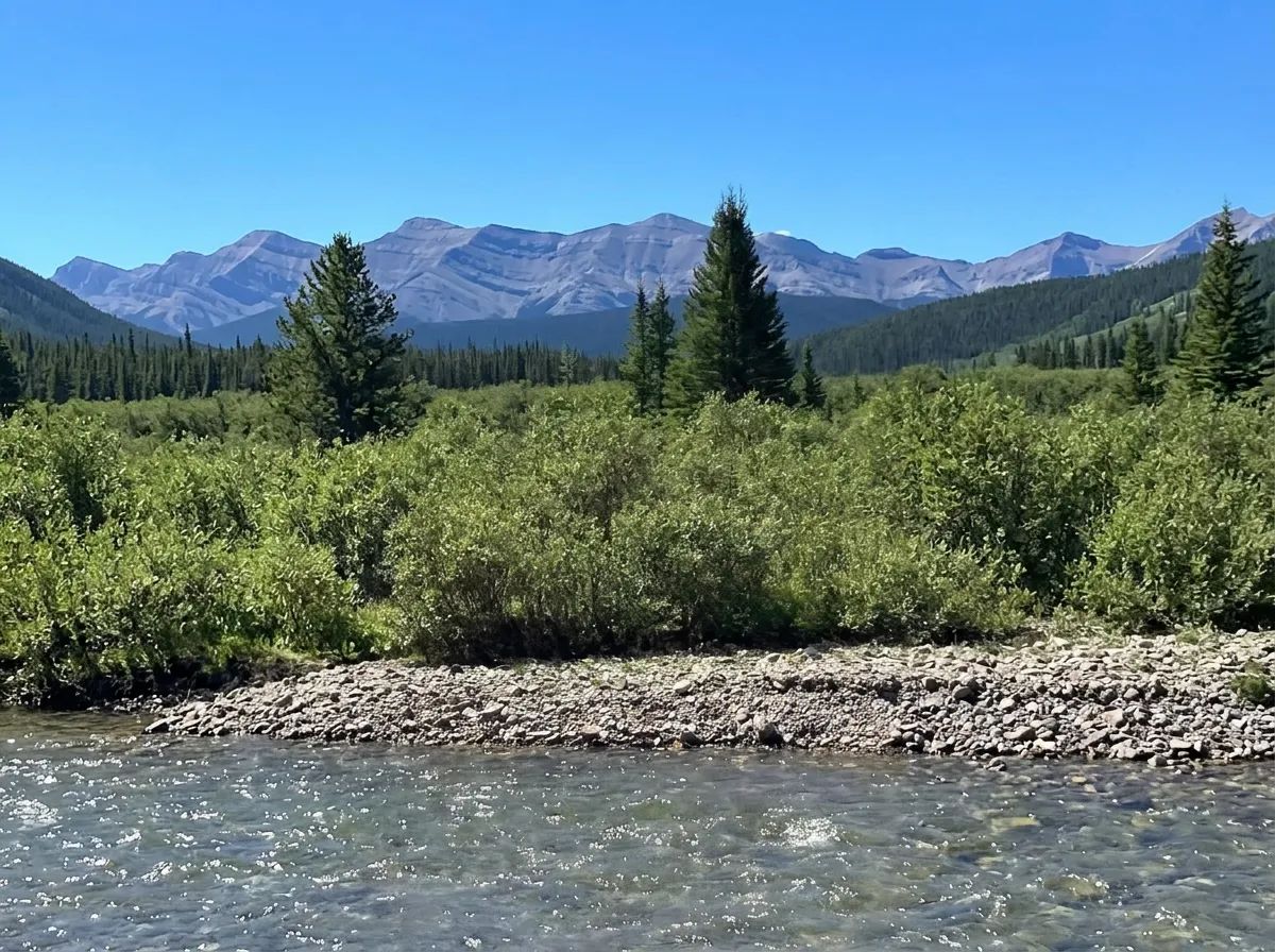 Photo de South Ram Outfitters au Centre de l'Alberta, Ab