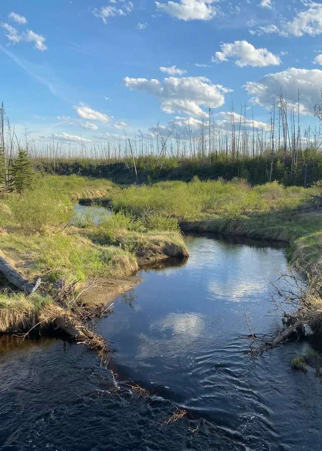 Photo of Stone Horse Outfitters Ltd. in Edmonton Region, AB