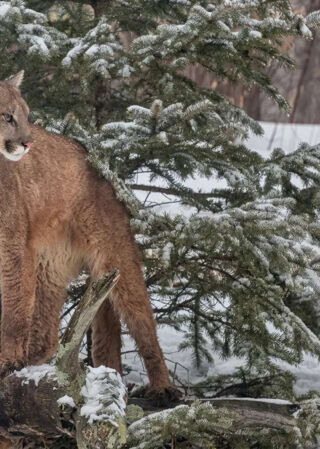 Photo of Tracks N Trails Outfitting in Central Alberta, AB