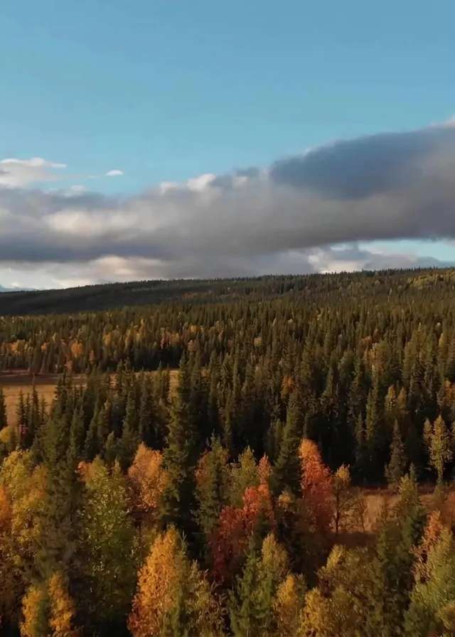 Photo of Wild Rose Outfitters in Edmonton Region, AB