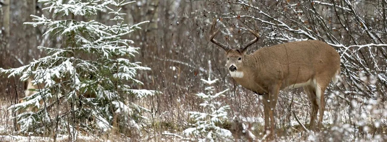 Photo of Friesen's Outfitting in Parkland, SK