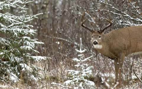 Photo of Friesen's Outfitting in Parkland, SK
