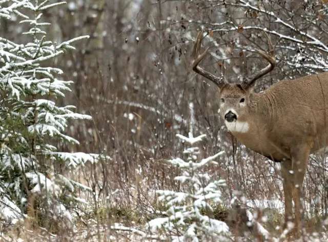 Photo of Friesen's Outfitting in Parkland, SK