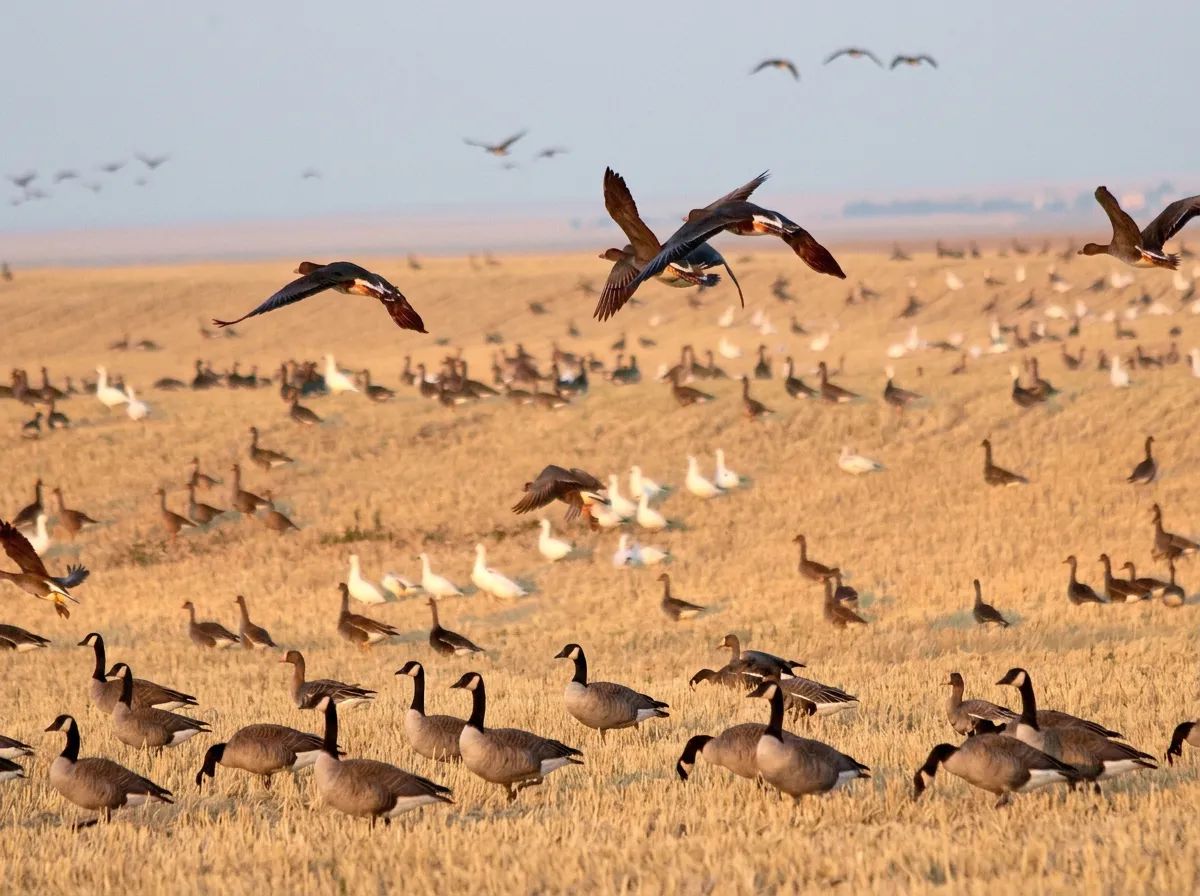 Photo of Galloway Bay Outfitters in Northern Forest, SK