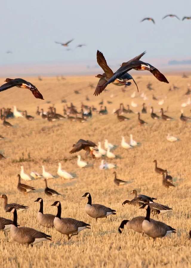 Photo of Galloway Bay Outfitters in Northern Forest, SK