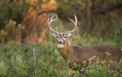 Photo of Hawkrock Wilderness Adventures in Athabasca Basin, SK
