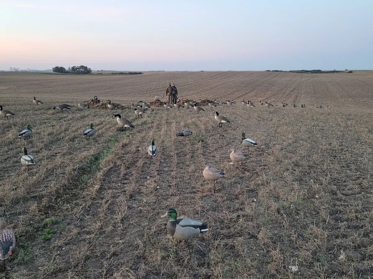 Photo of Honker Heaven Outfitters in Grasslands, SK