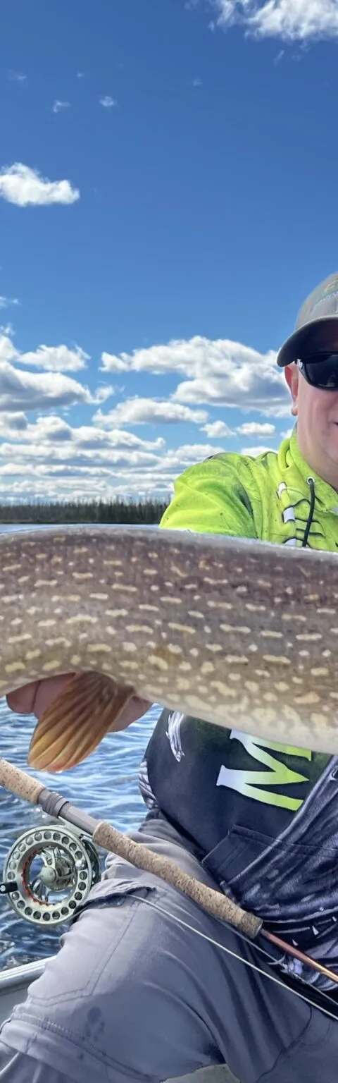 Impressive Northern pike catch from the boat at Milton Lake Lodge, Athabasca Basin, Saskatchewan