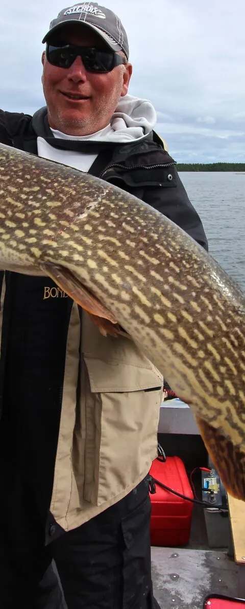 Trophy Northern pike caught on Misekumaw Lake at Milton Lake Lodge, Athabasca Basin, Saskatchewan