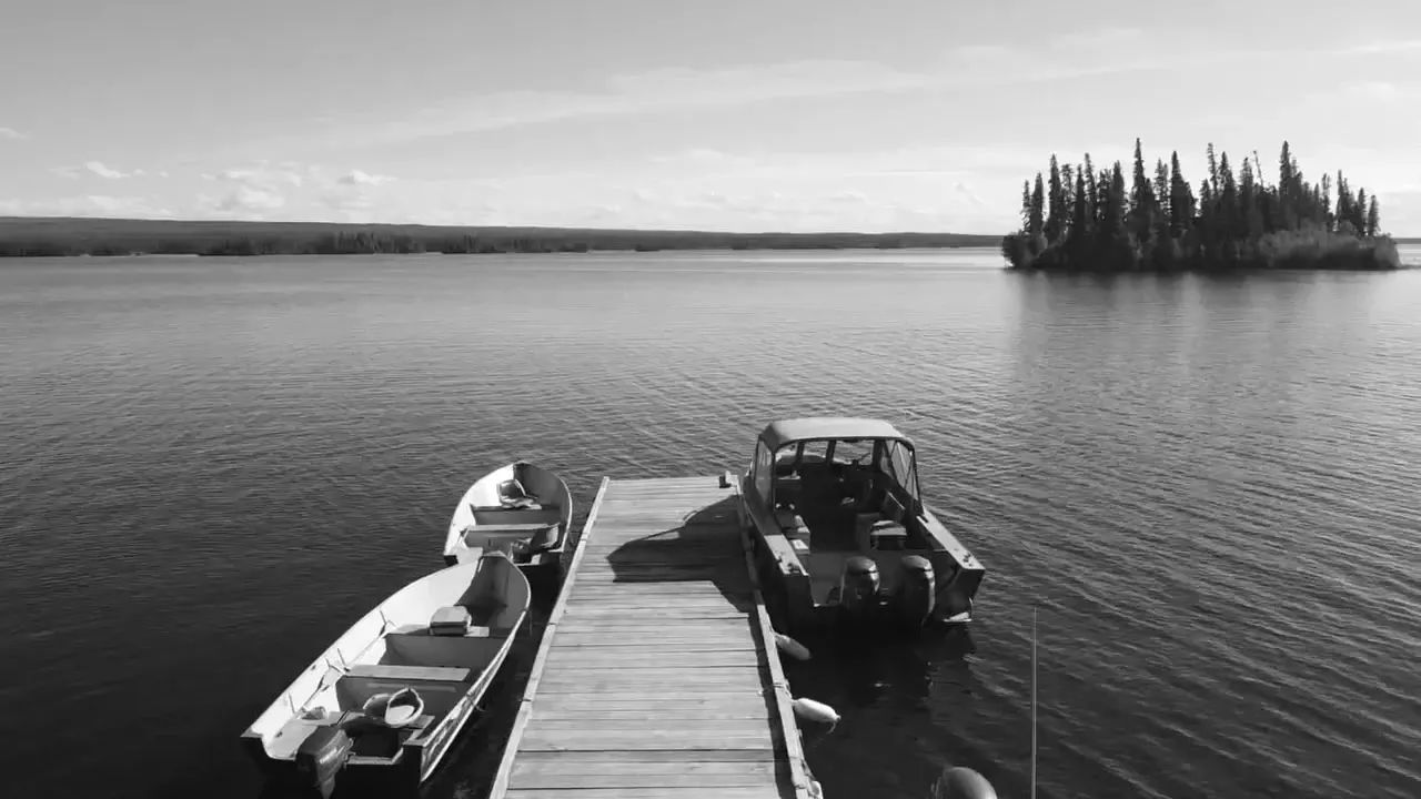 Photo de Northern Echo Lodge dans la Forêt boréale, Sk