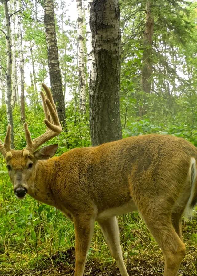 Photo of Otter Creek Outfitters Ltd in Meadow Lake Region, SK