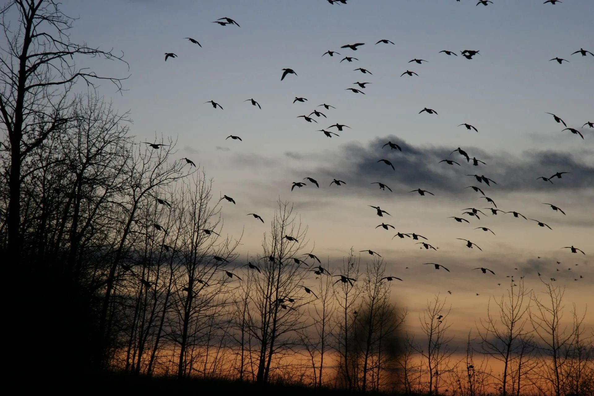 Photo of Prairies Edge Outfitting in Grasslands, SK