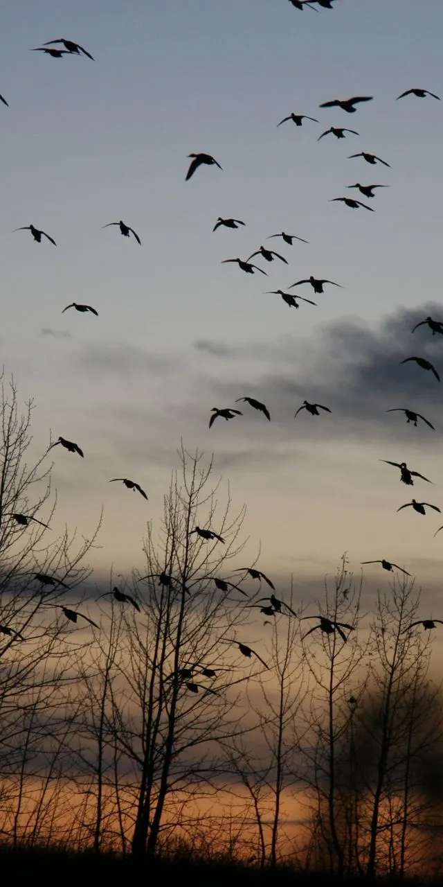 Photo of Prairies Edge Outfitting in Grasslands, SK