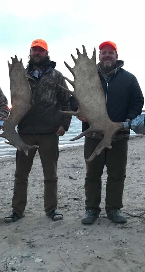Trophée d'orignal récolté lors d'une expédition. chez Agassiz Outfitters, Entre-les-Lacs, Manitoba