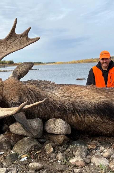 Prise d'orignal au camp d'Agassiz Outfitters. chez Agassiz Outfitters, Entre-les-Lacs, Manitoba