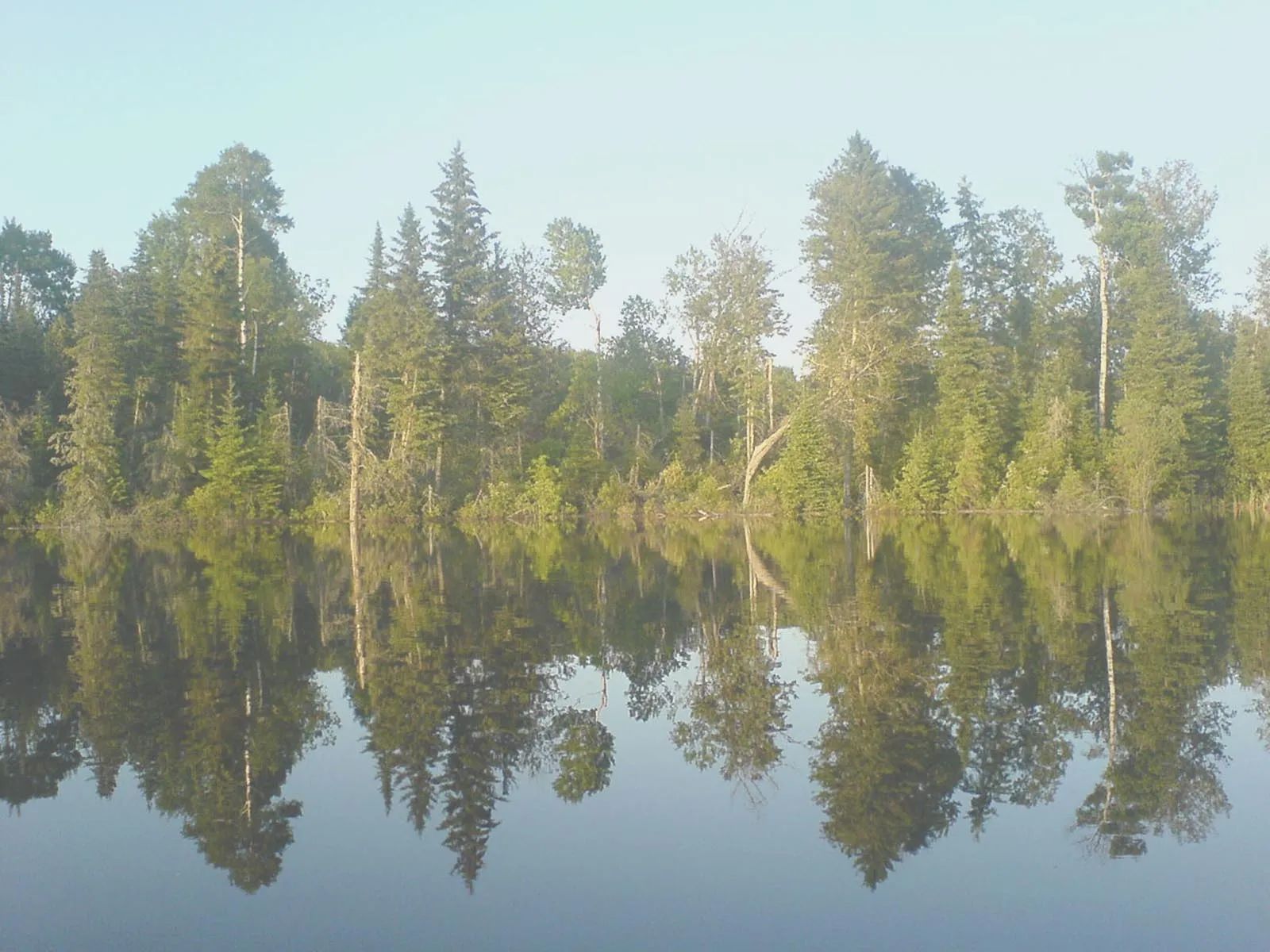 Photo de Big Woods Wilderness Outfitters dans la Région de la capitale de Winnipeg, Mb