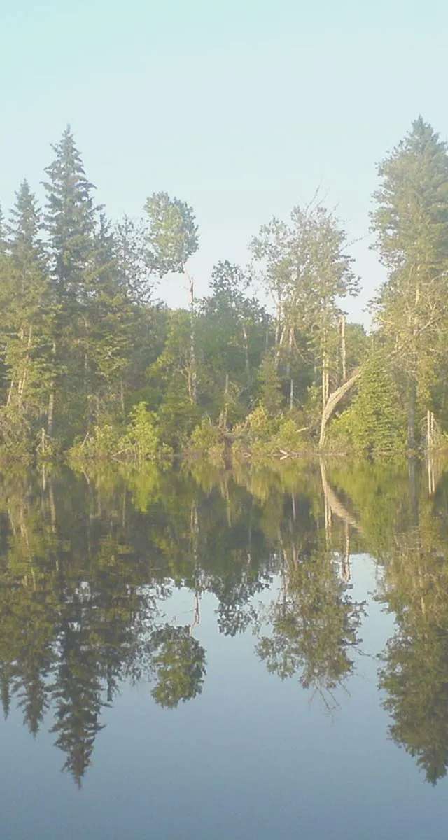 Photo of Big Woods Wilderness Outfitters in Winnipeg Capital Region, MB