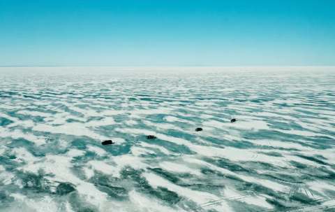 Photo of Bruin Outfitting and Guide Service in Lake Winnipeg, MB