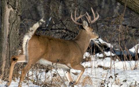 Photo de Drop-Tine Outfitters au Manitoba