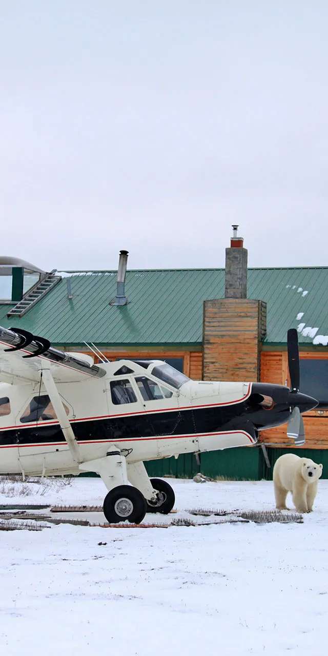Photo de Dymond Lake Ecolodge dans le Nord du Manitoba, Mb