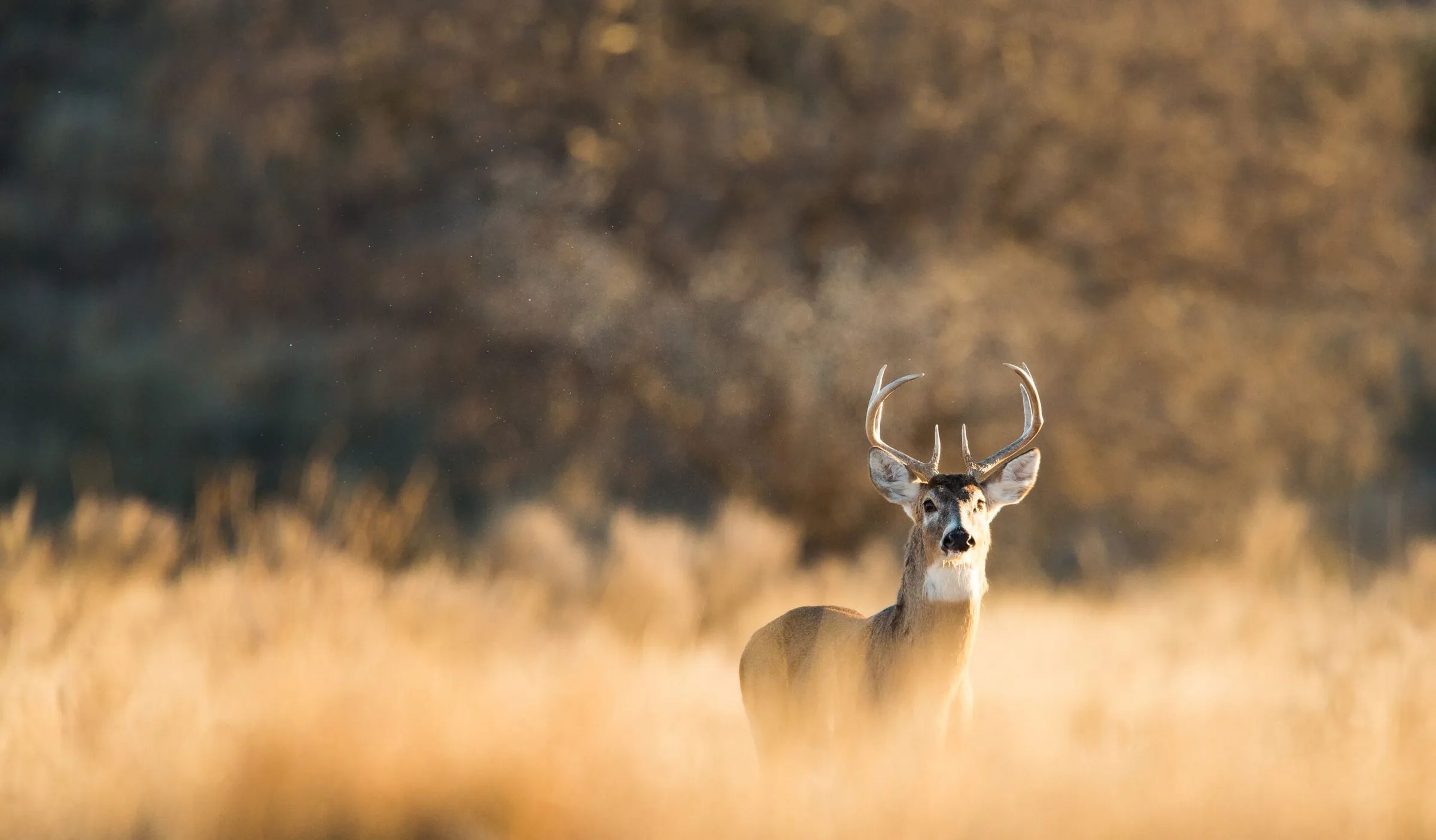 Photo de Fisher River Outfitters dans les Entre-les-Lacs, Mb