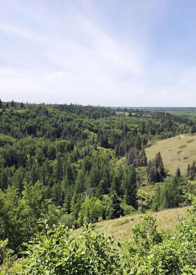 Photo of Gafka Farms Outfitting in Manitoba