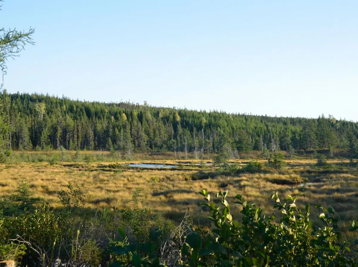 Photo de Northwest Gander Outfitters au Centre de Terre-Neuve, Nl