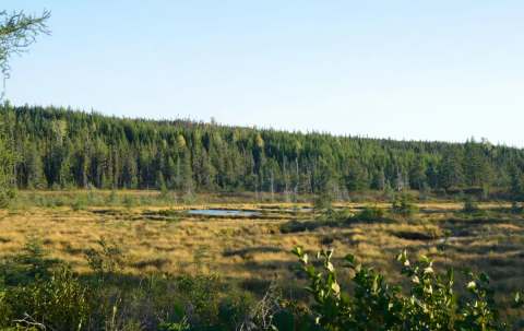 Photo of Northwest Gander Outfitters in Central Newfoundland, NL