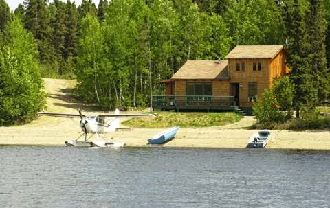 Photo of Island Safaris in Notre Dame Bay, NL