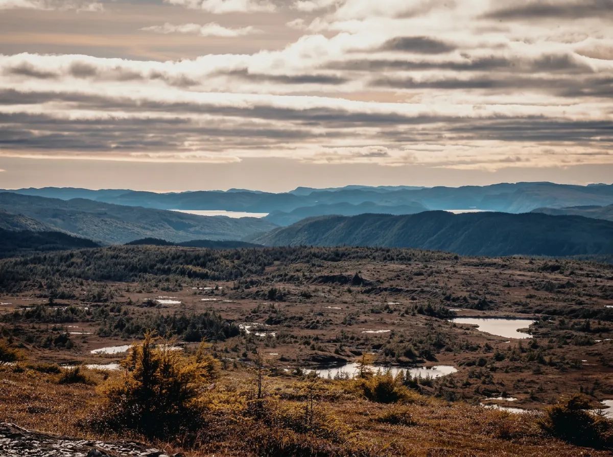 Photo of Conne River Outfitting Ltd. in Central Newfoundland, NL