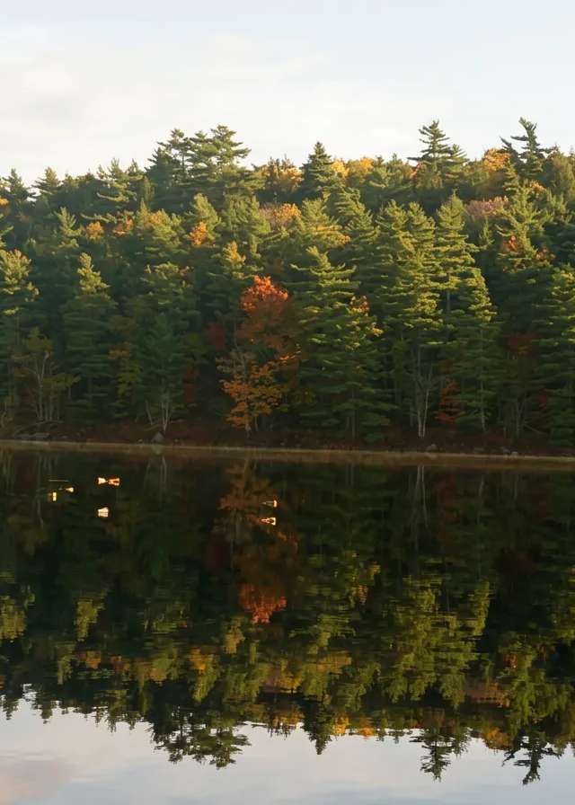 Photo of David Pickings Guide Service in Nova Scotia