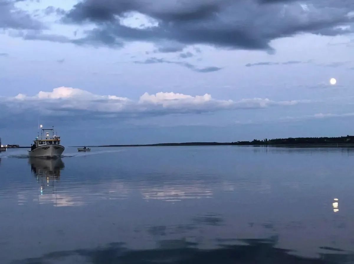 Photo of Bearded Skipper's Deep-Sea Fishing in Prince Edward Island