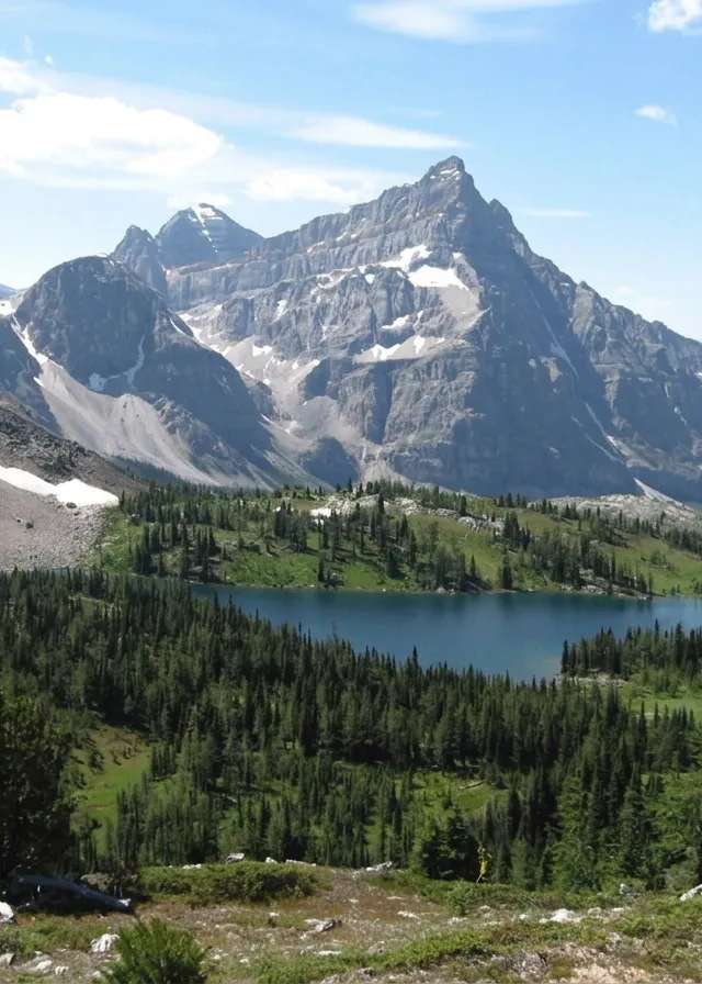 Photo of Action Angling Adventures in West Kootenay, BC