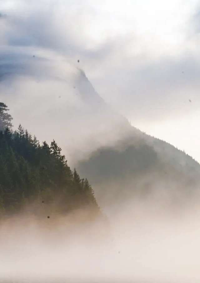 Photo of Anglers Arms Fly-Fishing Hideaway & Upstream Adventures Guiding in Fraser Valley, BC