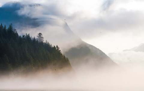 Photo of Anglers Arms Fly-Fishing Hideaway & Upstream Adventures Guiding in Fraser Valley, BC
