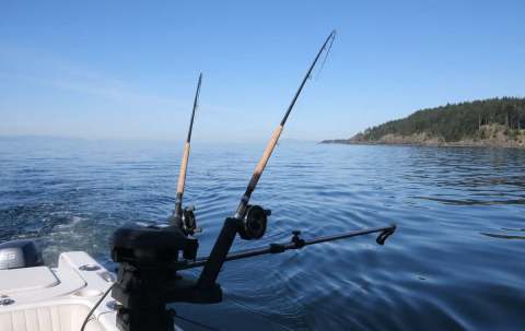 Photo de Bites-On Salmon Fishing Charters dans le Lower Mainland, Bc
