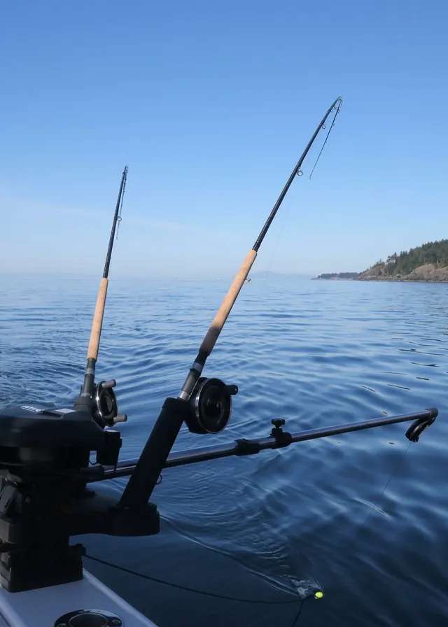 Photo of Bites-On Salmon Fishing Charters in Lower Mainland, BC