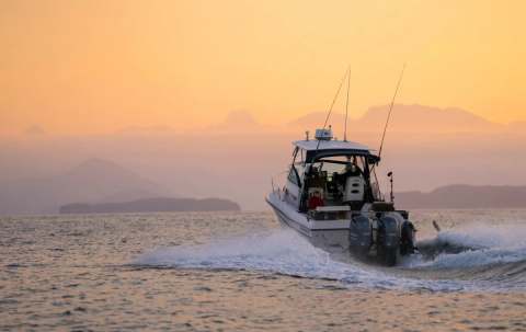 Photo de Coastal Wilderness Adventures sur l'Île de Vancouver, Bc