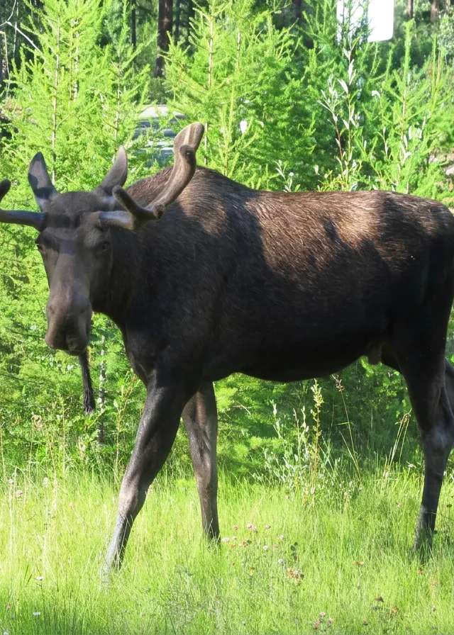 Photo of Double Eagle Outfitters in Bulkley Valley, BC