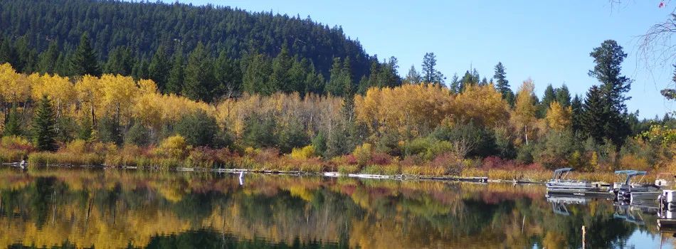 Photo of Evergreen Fishing Resort in Thompson, BC