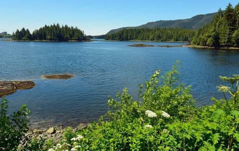 Photo of Experience Saltwater Charters in North Coast, BC