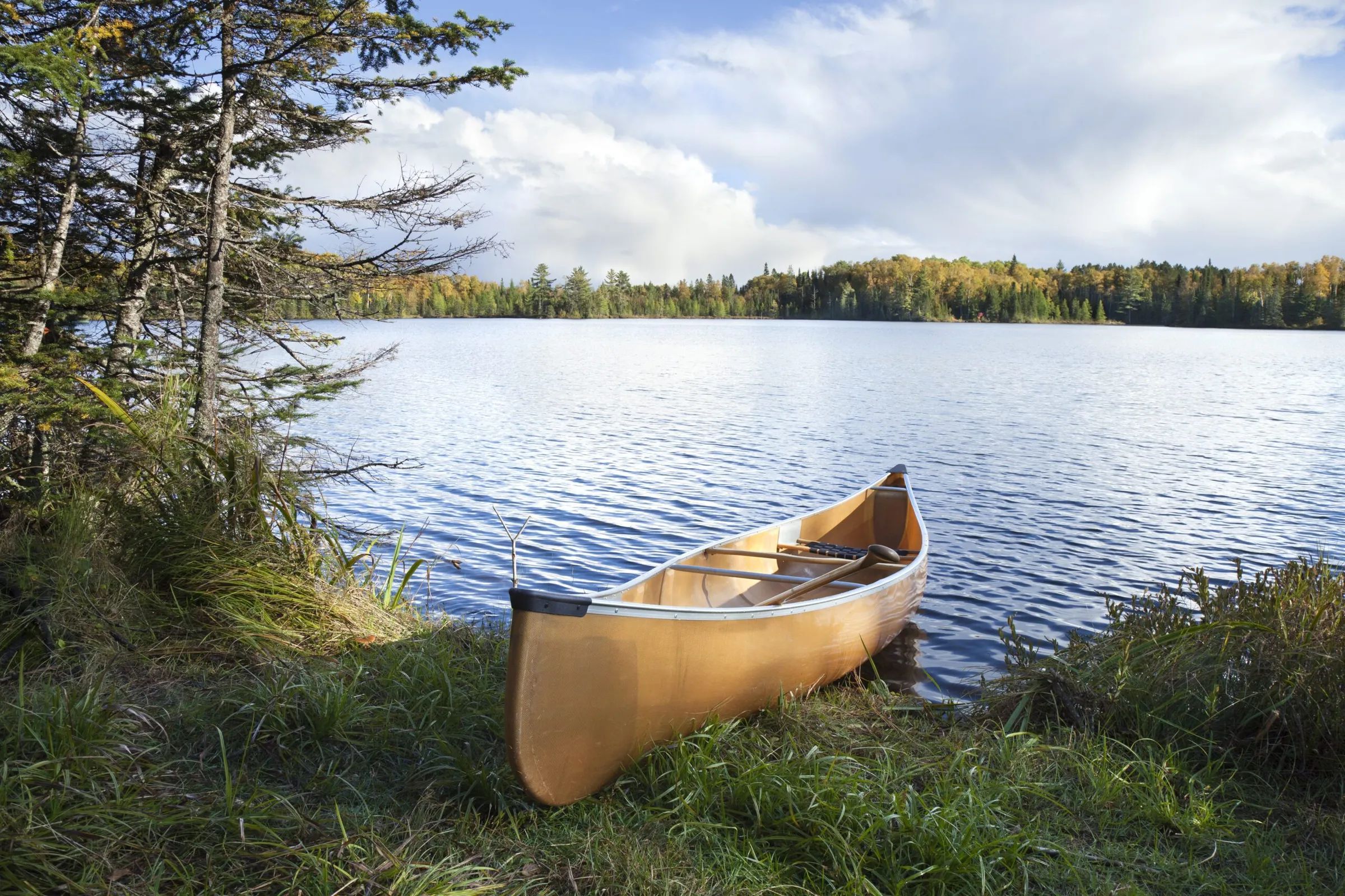 Photo of Finger Lake Wilderness Resort in Omineca, BC