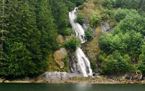 Photo of Fish on Charters in North Coast, BC