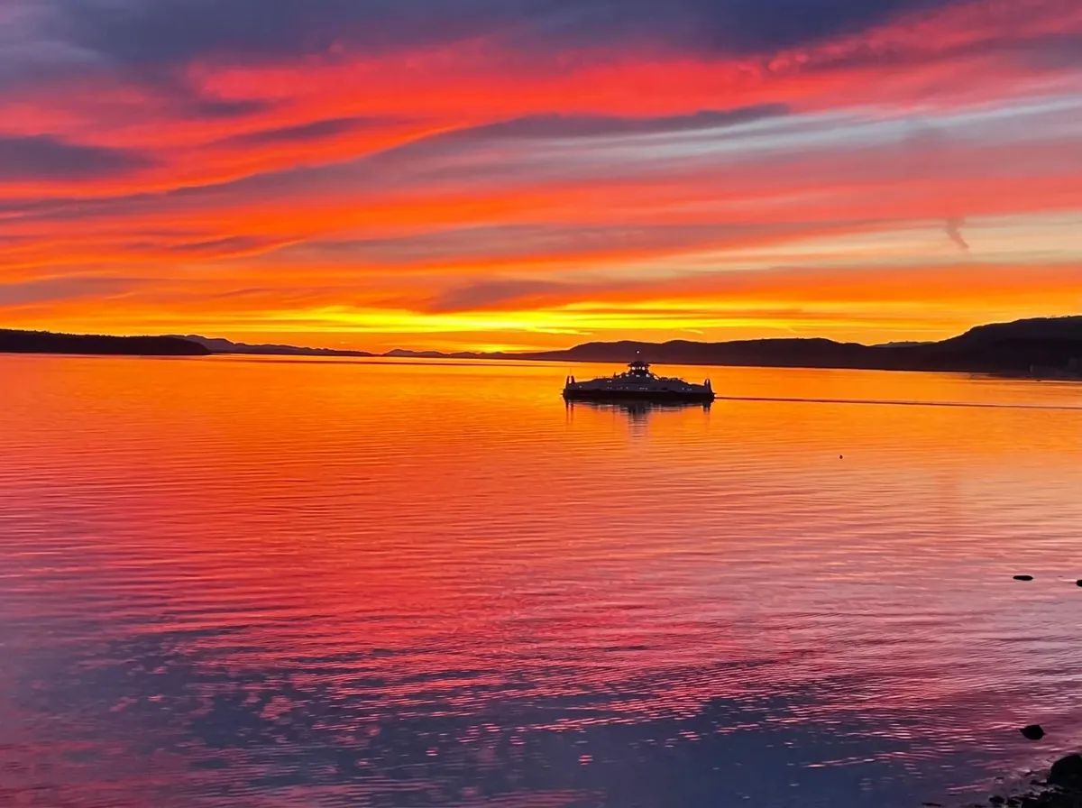Photo of Fishing BC Online in Vancouver Island, BC