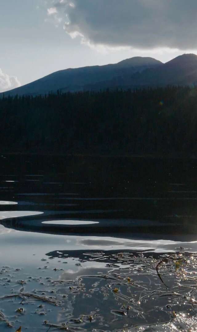 Photo of Midnight Sun Outfitting in Yukon